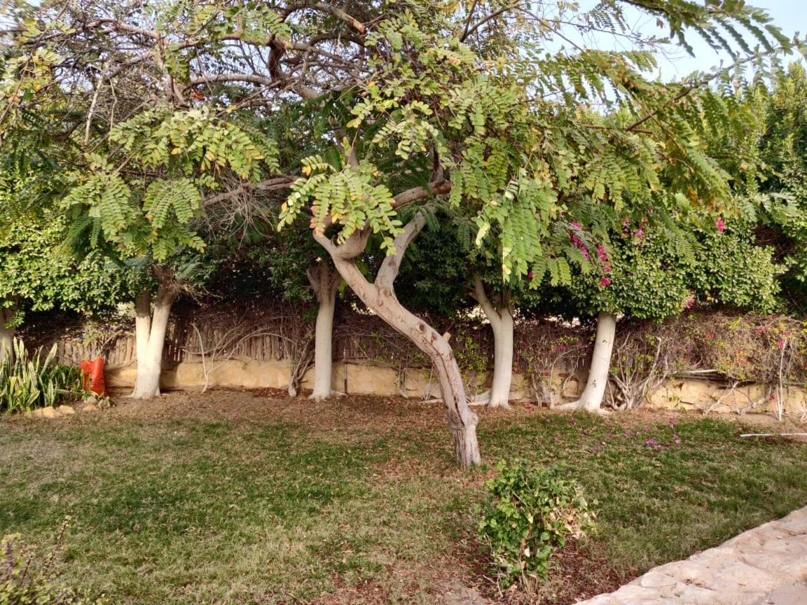 Tunis Lake View ‘Izbat an Nāmūs Exterior foto